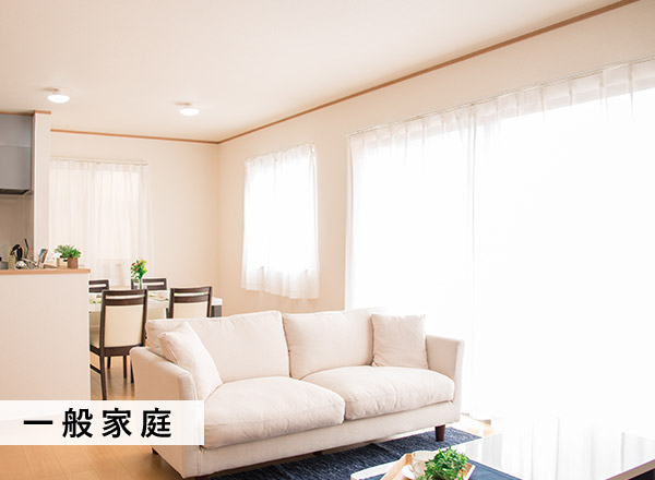 一般家庭