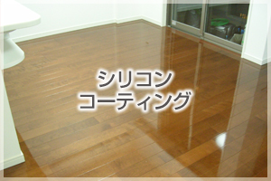 シリコンコーティング